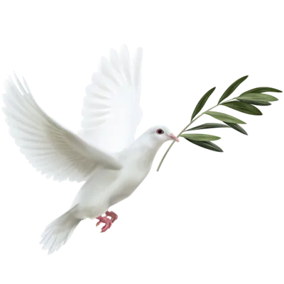 White dove carrying olive branch symbolising peace.
