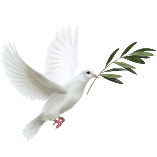 White dove carrying olive branch symbolising peace.